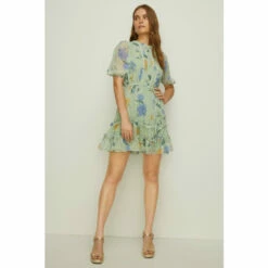 Oasis Lace Trim Floral Chiffon Skater Dress For Female -Oasis Sales Store unnamed file 1220