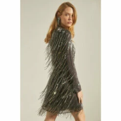 Oasis Rachel Stevens Premium Beaded Fringe Dress For Female -Oasis Sales Store unnamed file 1815