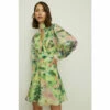 Oasis Rose Dufton Landscape Organza Mini Dress For Female 2 Oasis Rose Dufton Landscape Organza Mini Dress For Female -Oasis Sales Store unnamed file 3548