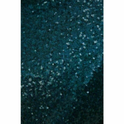 Oasis Sequin Funnel Neck Flared Sleeve Top For Female -Oasis Sales Store unnamed file 3608