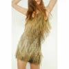 Oasis Embellished Tassel Fringe Mini Dress For Female -Oasis Sales Store unnamed file 363