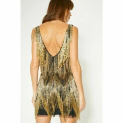 Oasis Embellished Tassel Fringe Mini Dress For Female -Oasis Sales Store unnamed file 365
