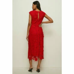 Oasis Petite Lace Midi Pencil Dress For Female -Oasis Sales Store unnamed file 4229