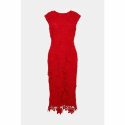 Oasis Petite Lace Midi Pencil Dress For Female -Oasis Sales Store unnamed file 4230
