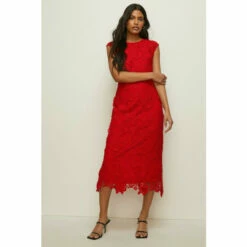 Oasis Petite Lace Midi Pencil Dress For Female -Oasis Sales Store unnamed file 4231
