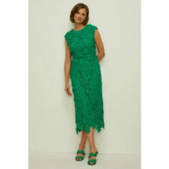 Oasis Petite Lace Midi Pencil Dress For Female -Oasis Sales Store unnamed file 4232