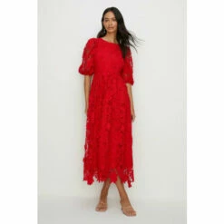 Oasis Lace Puff Sleeve Midi Dress For Female -Oasis Sales Store unnamed file 467