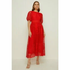 Oasis Premium Lace Puff Sleeve Midi Dress For Female 12 Oasis Premium Lace Puff Sleeve Midi Dress For Female -Oasis Sales Store unnamed file 4822