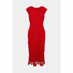 Oasis Lace Midi Pencil Dress For Female -Oasis Sales Store unnamed file 4827