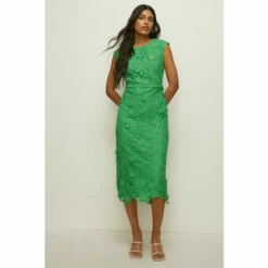 Oasis Lace Midi Pencil Dress For Female -Oasis Sales Store unnamed file 4829