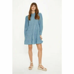 Oasis Chambray Pintuck Mini Dress For Female